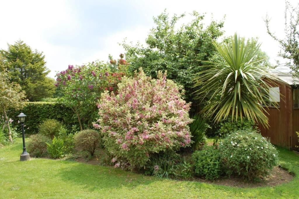 شقة Mews With Garden Views كارلو المظهر الخارجي الصورة